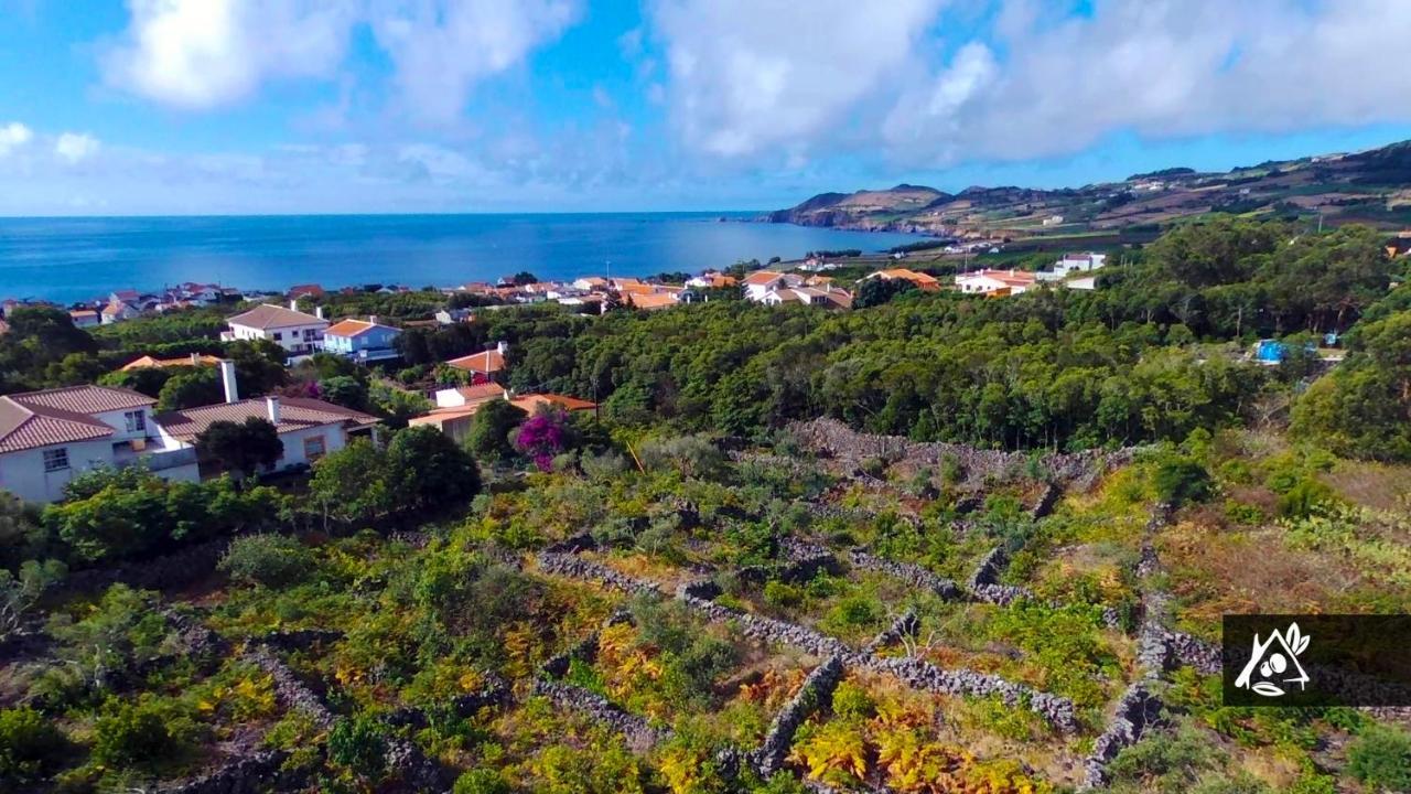 Quinta Do Paraiso Porto Martins Bagian luar foto
